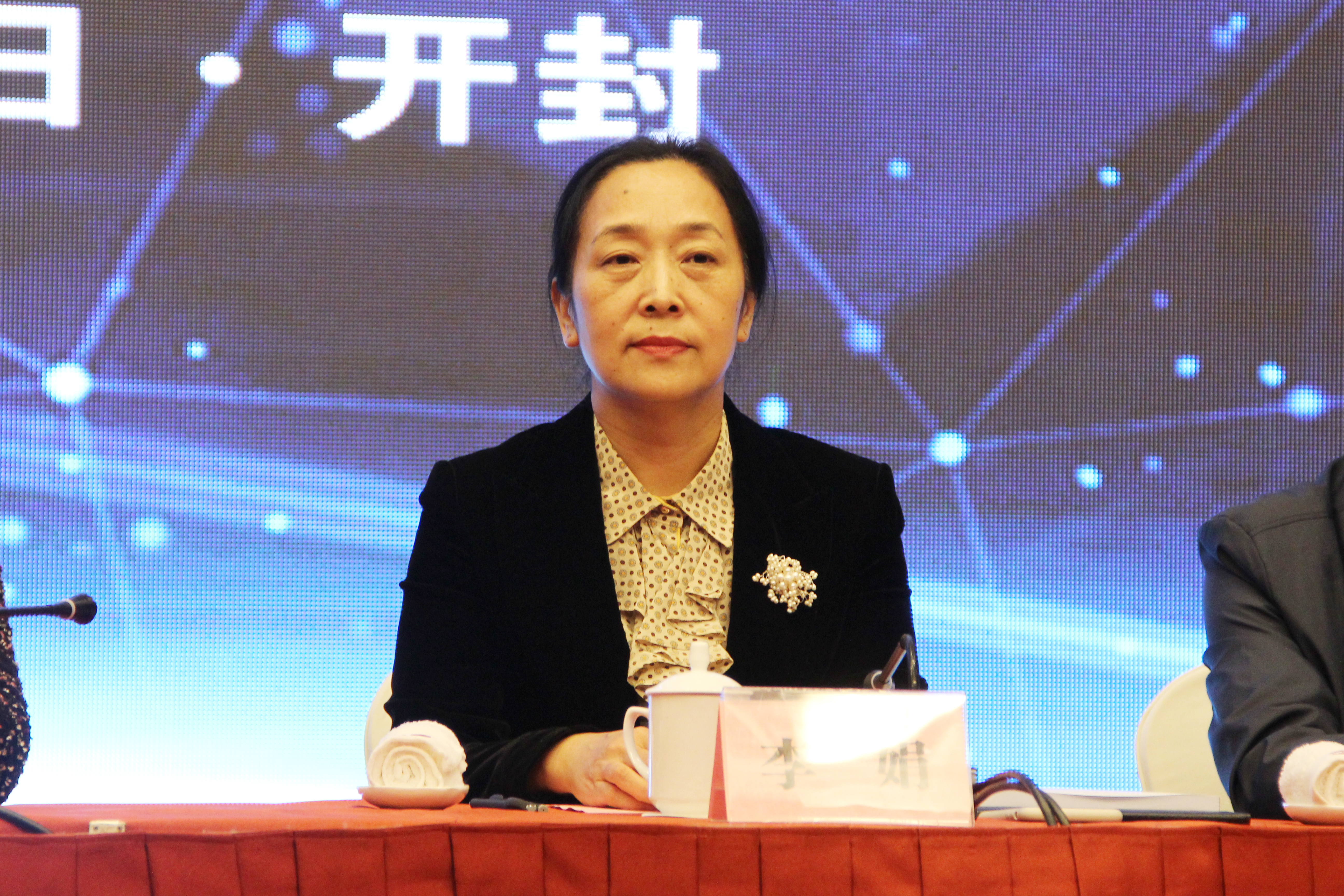 河南省建筑业协会常务副会长兼秘书长李娟讲话.JPG