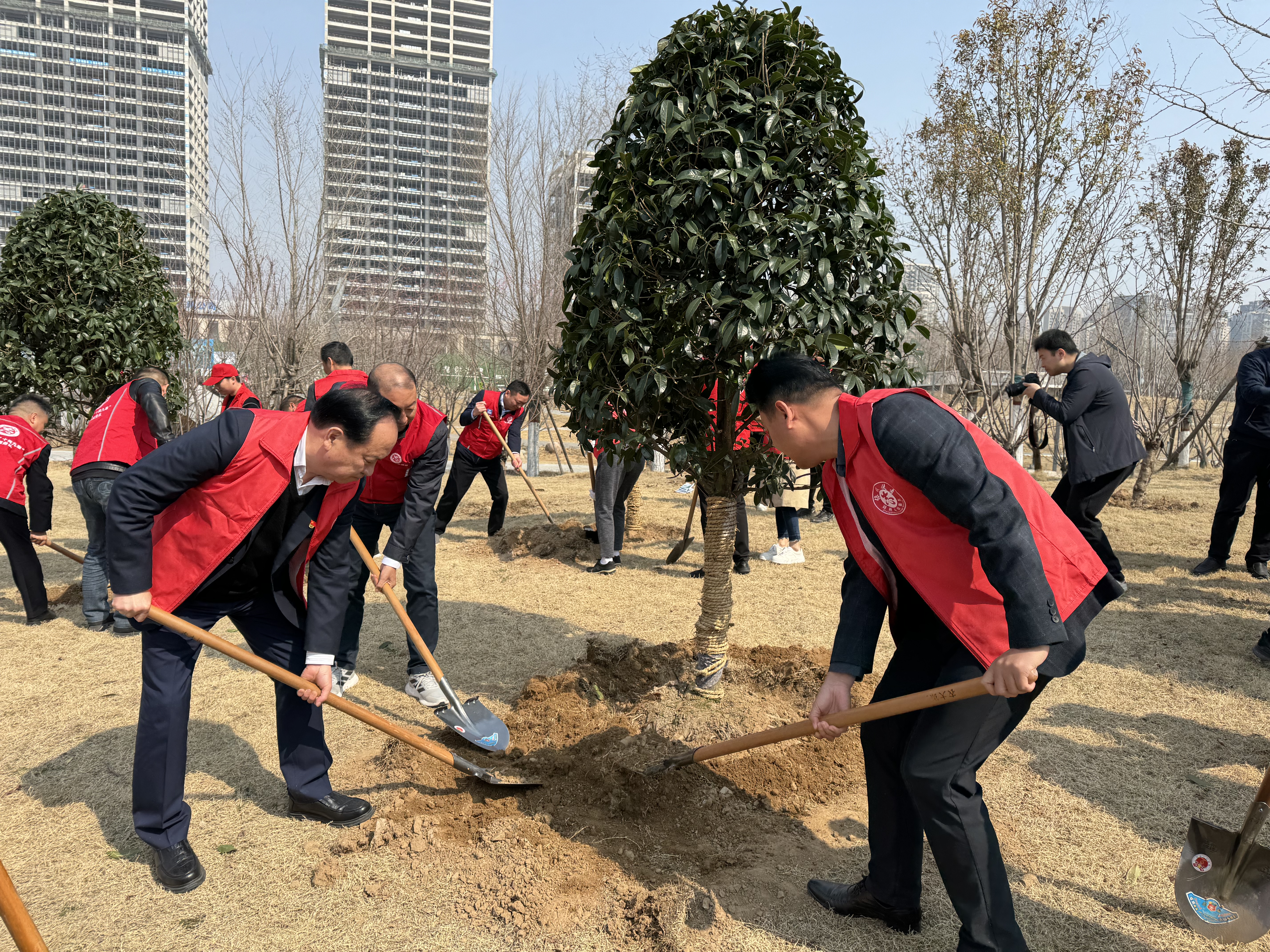 植树.jpg