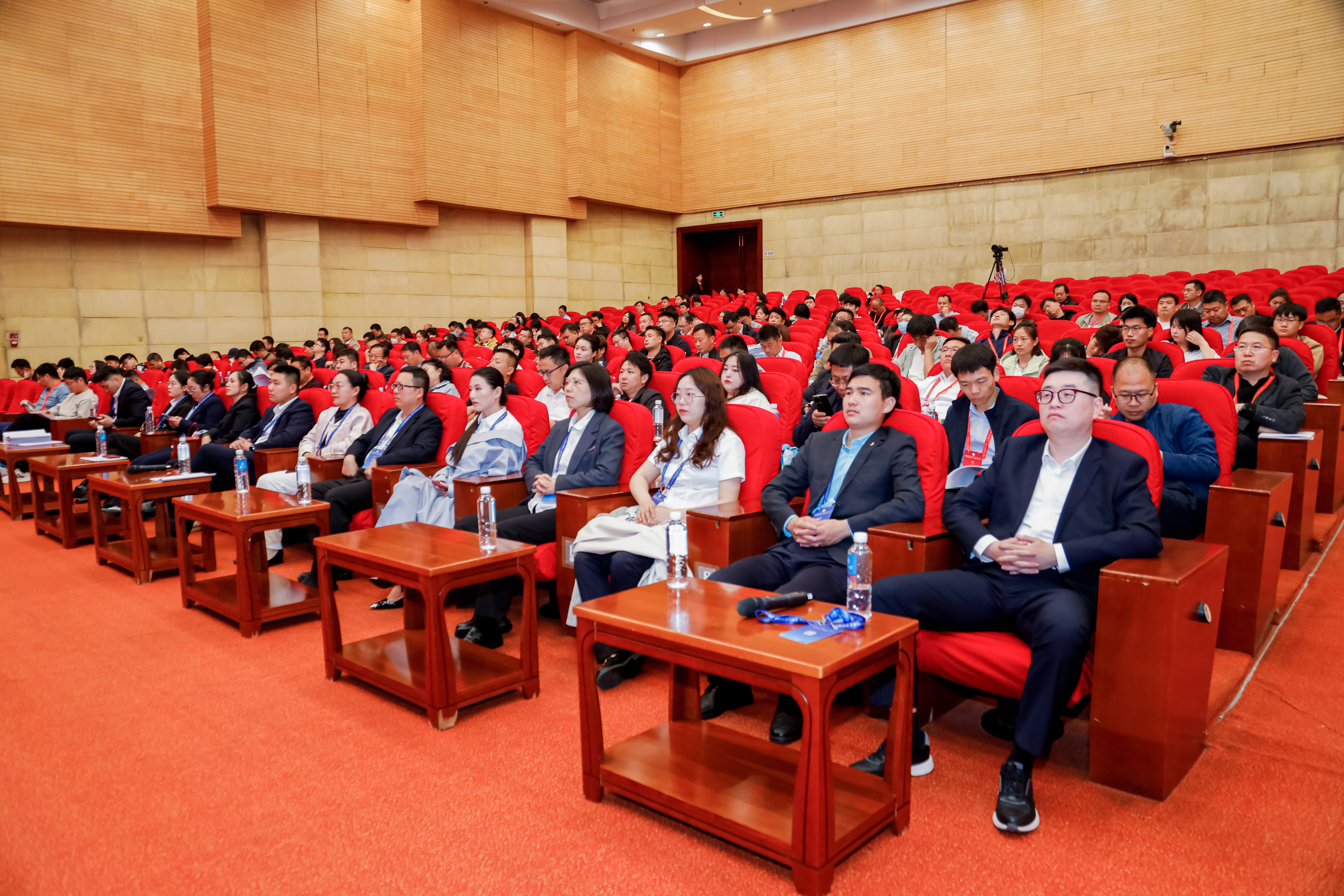 _16A5335__12696805.jpg _16A5335__12696805.jpg